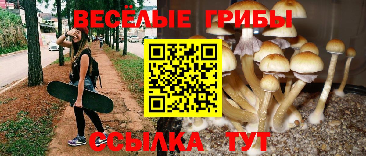 Слободской  Псилоцибиновые грибы ЛСД  Вход с VPN  Псилоцибиновые грибы GOLDEN TEACHER 