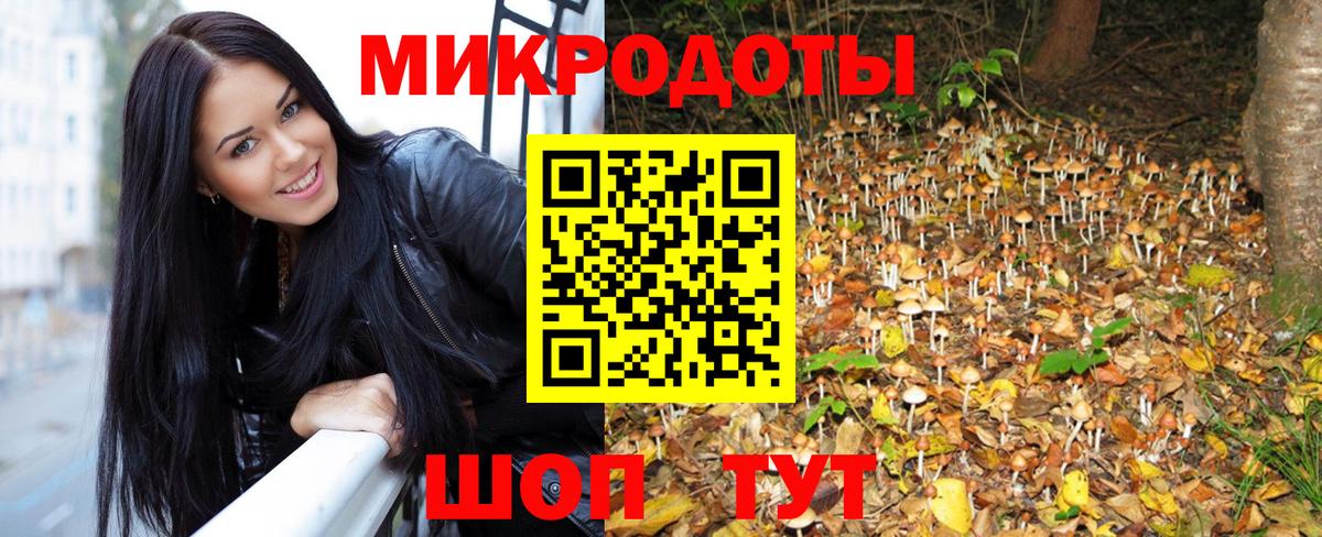 Псилоцибиновые грибы Psilocybe Слободской